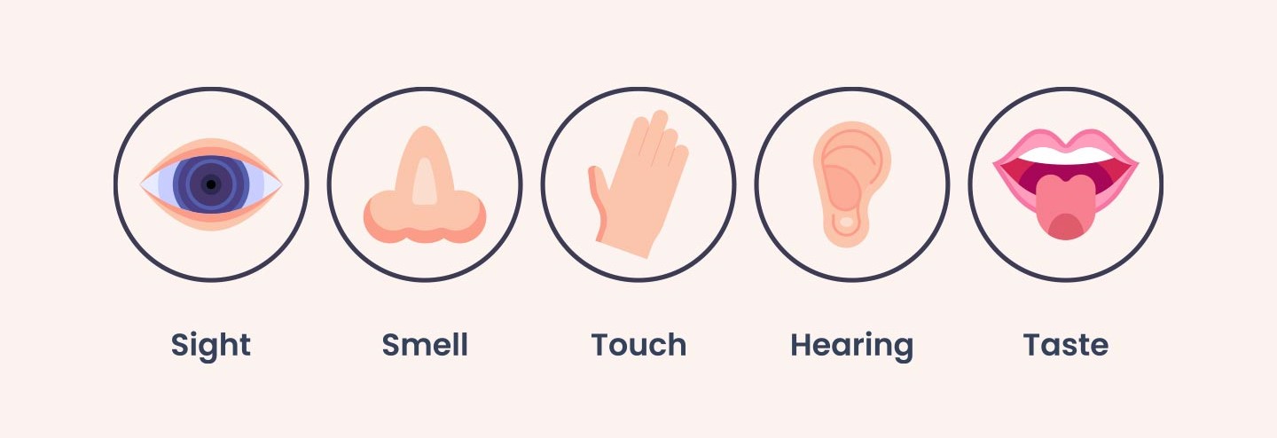 special sense